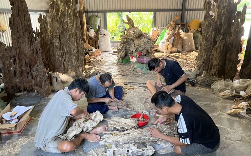 Van Thang Tram Huong Xoi craft village, Van Ninh district, Khanh Hoa province is recognized as a place with potential for community tourism development. Photo: Cong Duc