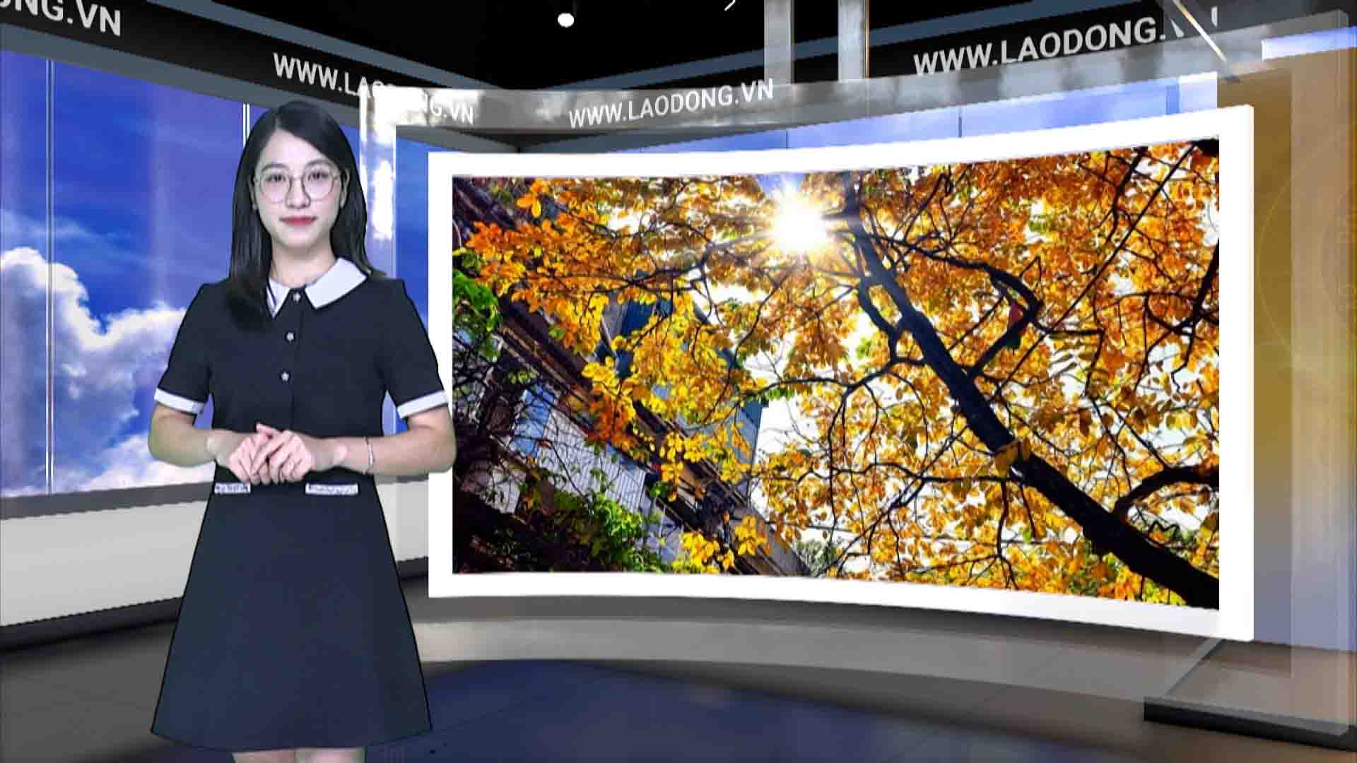 Weather forecast tonight and tomorrow 11/22