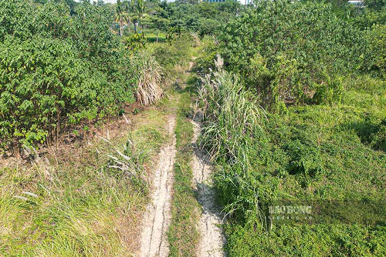 Lien quan den du an nay, tai hoi nghi ra mat Ban chi dao ve thuc hien cac bien phap phong, chong lang phi cua thanh pho Ha Noi, bao cao ve tien do, Giam doc So Xay dung - Vo Nguyen Phong - cho biet, den nay du an Cong vien ho Phung Khoang da hoan thanh giai phong mat bang va ban giao thi cong cong trinh khoang 92,39%. Viec chua hoan thanh du an chu yeu den tu cong tac chinh sach den bu, ho tro phuc vu giai phong mat bang chua hieu qua.