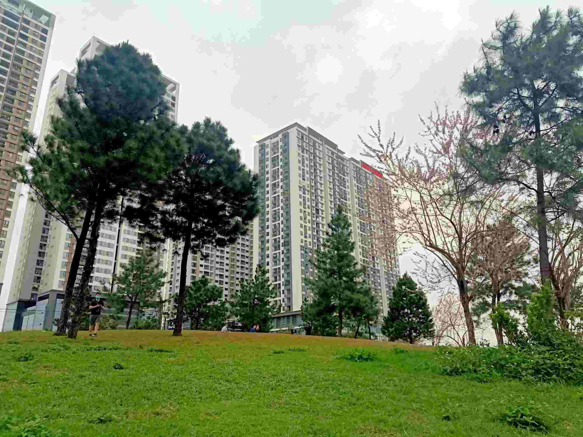 The real estate M&A market is forecast to be more vibrant and diverse from 2025 (illustrative photo). Photo: Luc Giang