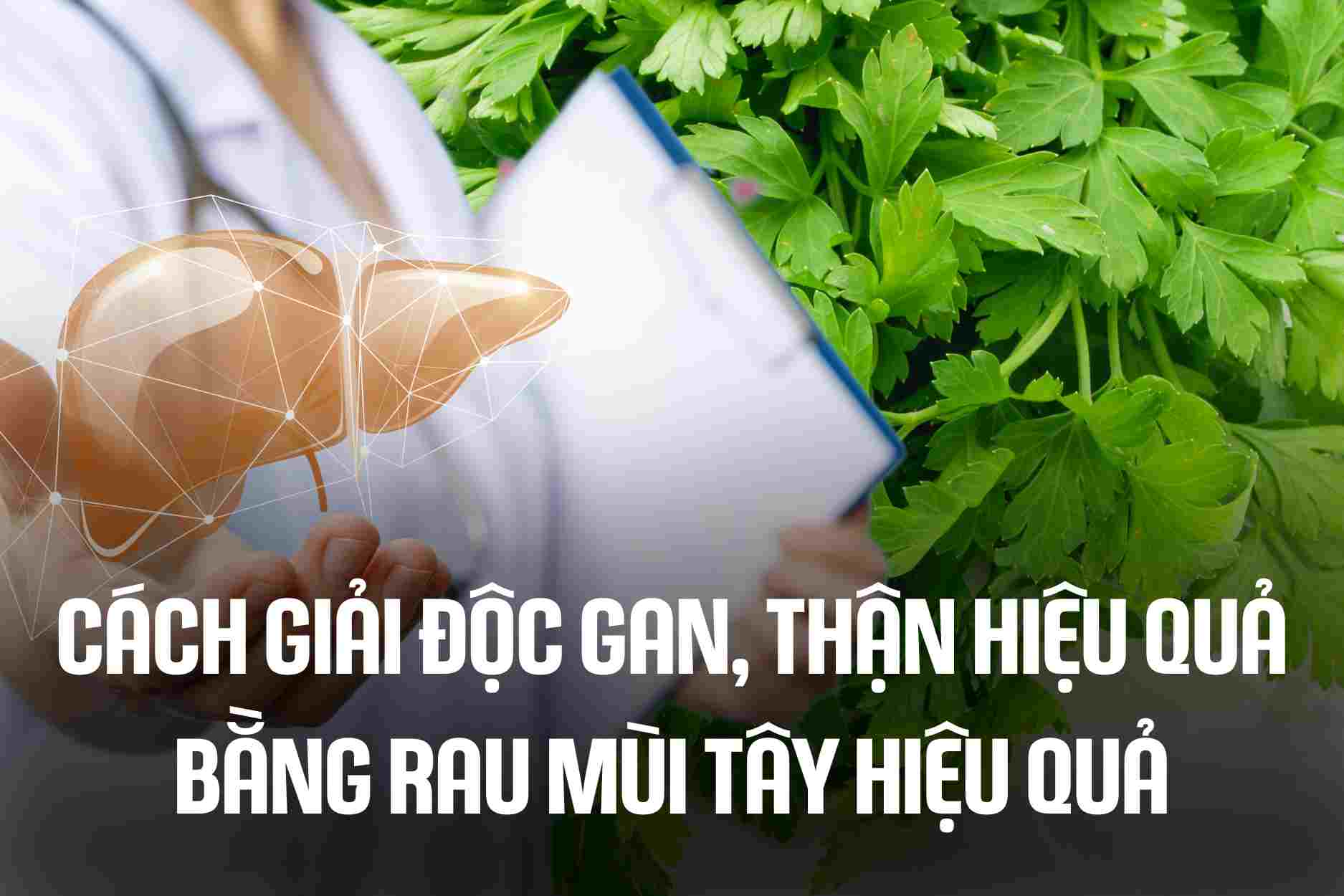 How to detoxify liver and kidney effectively with parsley