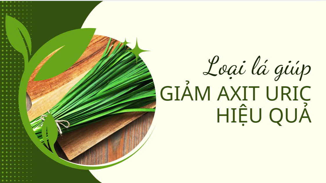 Leaves help reduce uric acid effectively