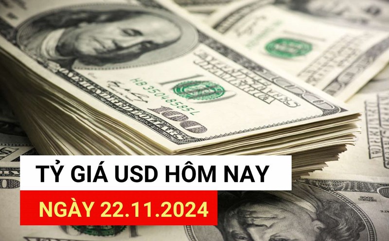 USD exchange rate today 11/24: Why does USD keep increasing strongly?