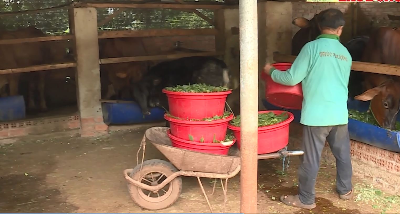 People participate in vocational training. Photo: Bao Trung