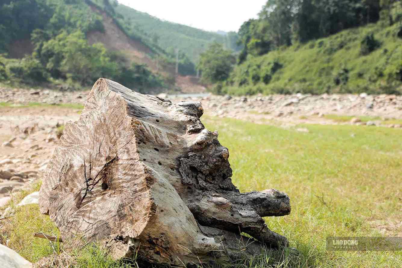 Diem dau song bat nguon tu hop luu nhieu suoi o xa Cao Pha, huyen Mu Cang Chai. Sau do uon luon chay qua cac xa Phong Du Thuong, Phong Du Ha den xa Dong An huyen Van Yen thi do vao song Hong.