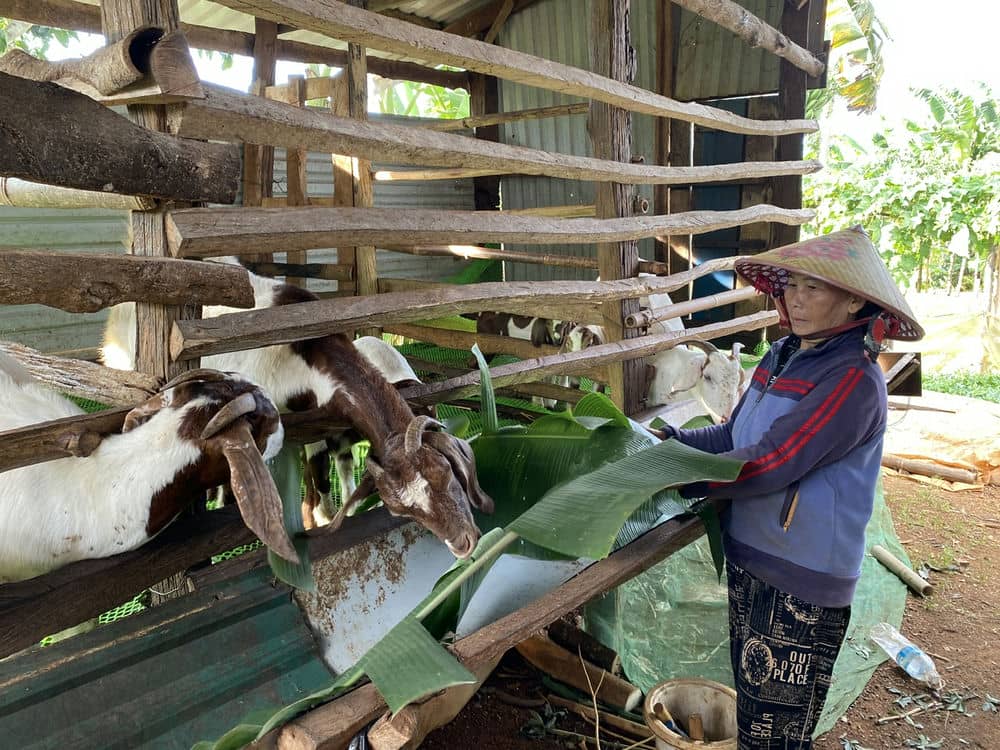 Nguoi dan duoc ho tro tang de de vuon len thoat ngheo. Anh: Phong Nha 