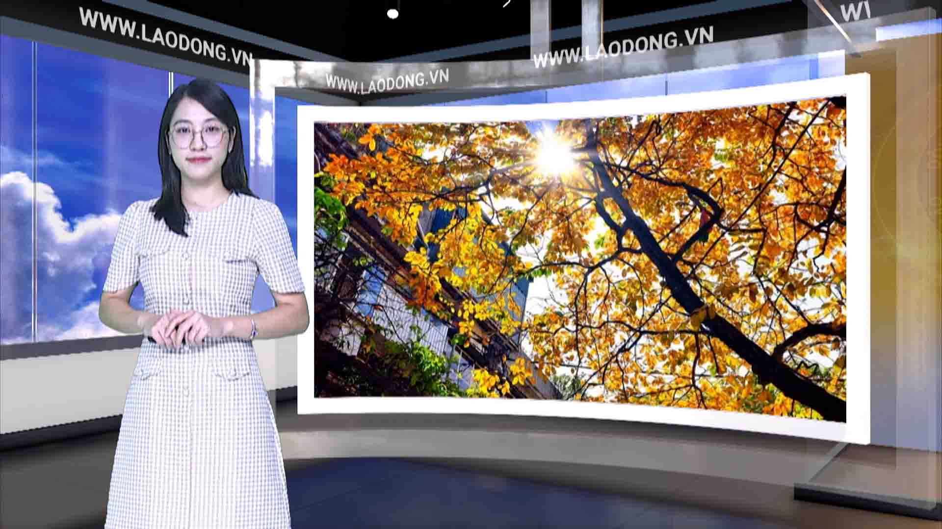 Weather forecast tonight and tomorrow 11/24