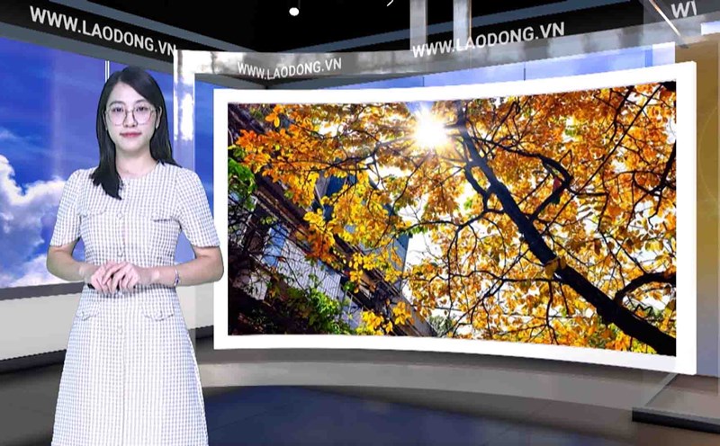 Weather forecast tonight and tomorrow 11/24