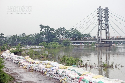 Emergency declaration of landslides on the dike and banks of the Bui River in Chuong My district. Photo: Tran Vuong