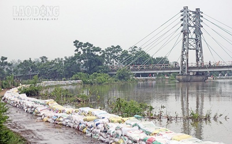 Emergency declaration of landslides on the dike and banks of the Bui River in Chuong My district. Photo: Tran Vuong