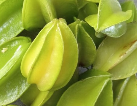 Eating star fruit properly can help lower blood sugar and lose weight. Photo: Kieu Vu