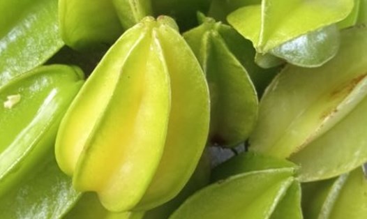 Ăn khế đúng cách có thể giúp hỗ trợ hạ đường huyết và giảm cân. Ảnh: Kiều Vũ