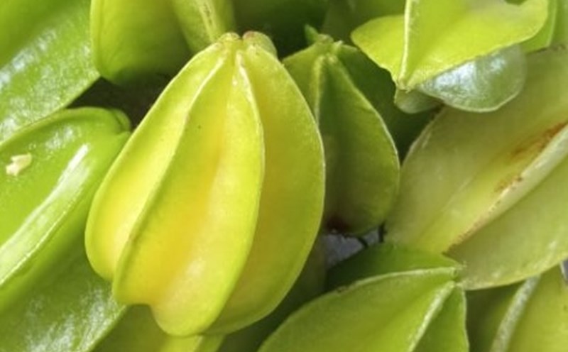 Eating star fruit properly can help lower blood sugar and lose weight. Photo: Kieu Vu