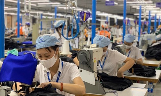 Chính phủ đề nghị không quy định nội dung, cơ chế chi trả tiền lương tại doanh nghiệp. Ảnh minh họa: VGP