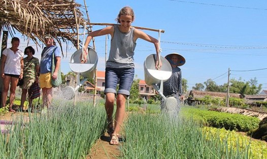 Khách quốc tế trải nghiệm một ngày làm nông dân ở làng rau Trà Quế, TP Hội An, Quảng Nam. Ảnh: Viator