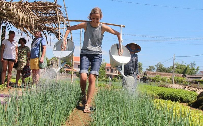 International visitors experience a day as a farmer in Tra Que vegetable village, Hoi An city, Quang Nam. Photo: Viator
