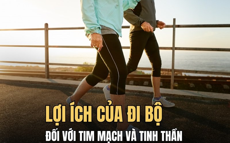 Walking every day brings many health benefits. Graphics: Hoai Lan