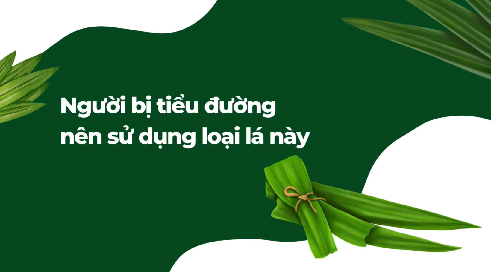 Diabetics should use this leaf