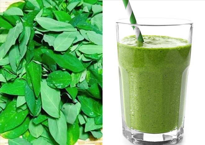 With the right cooking method and reasonable dosage, Malabar spinach juice can bring many outstanding benefits to overall health. Graphic photo: Hai Ngoc.