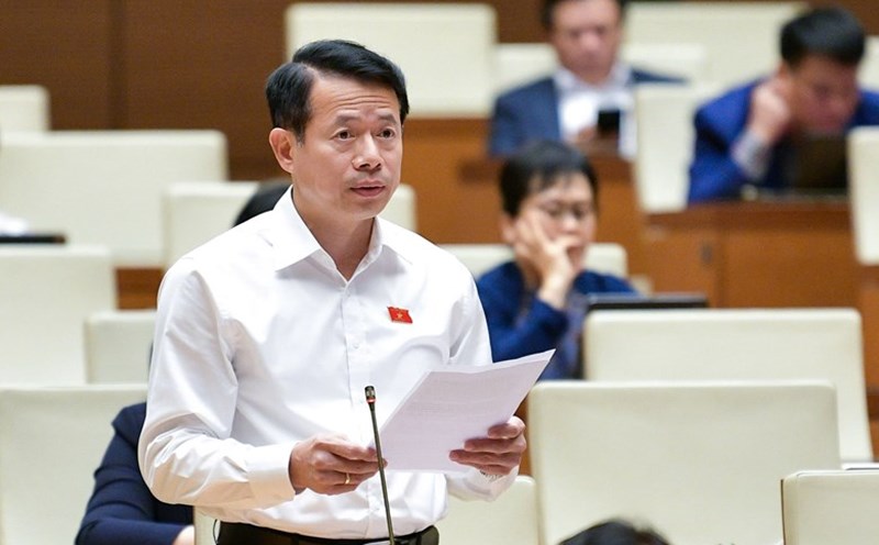 Delegate Nguyen Hai Dung (Nam Dinh Delegation) said that the same chemical is managed differently in each area, leading to businesses circumventing the law and releasing it to the market, causing social insecurity. Photo: Quochoi.vn
