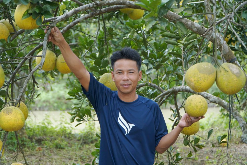 Anh Trinh Dinh Mao vui mung vi mo hinh nuoi kien vang da giup bao ve vuon buoi, giam chi phi va mang lai hieu qua kinh te cao.  Anh: Quach Du