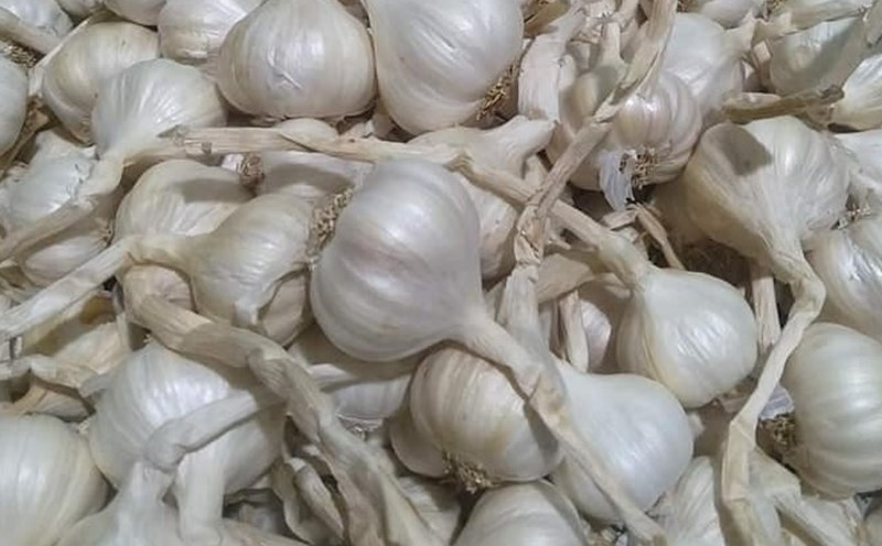 Thuốc nam trị gan nhiễm mỡ - Giải pháp tự nhiên hiệu quả cho sức khỏe gan Thuốc nam trị gan nhiễm mỡ - Giải pháp tự nhiên hiệu quả cho sức khỏe gan