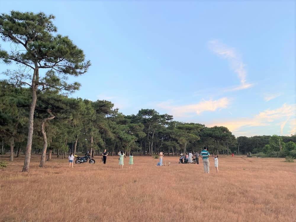 The gong festival will take place on the pink grass hill in Gia Lai. Photo: Thanh Tuan