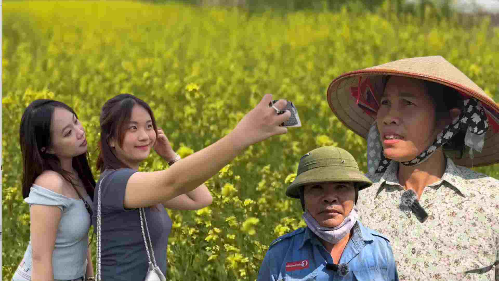 People are fascinated by the blooming yellow canola flower fields in Le Chi commune