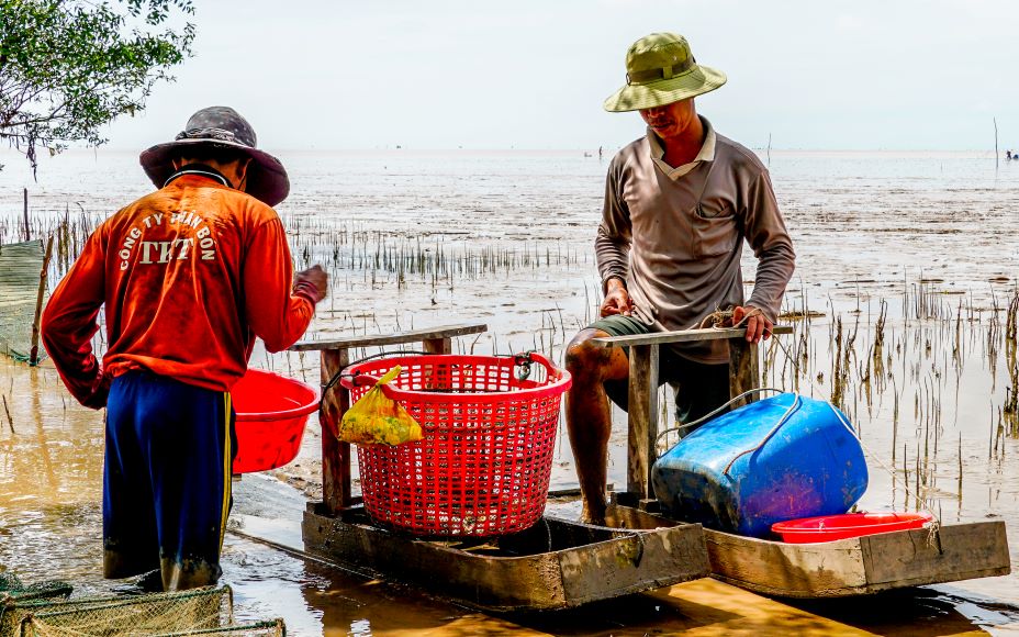 Ông Lý Minh - một hộ dân đã có trên 25 năm theo nghề trượt mong ở Mỏ Ó - cho biết: “Nhìn trượt đơn giản nhưng phải đúng kỹ thuật thì mới nhanh và giữ được sức bền. Khi trượt một chân tỳ gối lên chiếc mong, chân còn lại đạp xuống bùn để đẩy chiếc mong lao tới phía trước. Hai tay thì vịn ở phía tay cầm để điều khiển hướng đi theo ý muốn. Với những người có sức khỏe tốt thì mỗi cú đạp, chiếc mong có thể lao đi xa đến 3m.