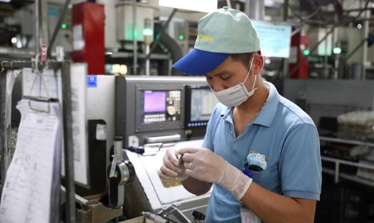 Trong tháng 10, tổng kim ngạch xuất nhập khẩu hàng hóa sơ bộ đạt 69,19 tỉ USD. Ảnh: Cường Ngô