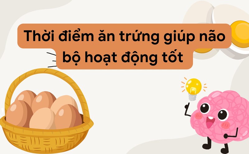 Choline in eggs helps reduce stress for the brain. Photo collage: HUONG SON