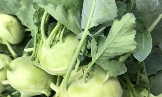 Người bệnh tuyến giáp khi ăn su hào cần lưu ý 3 điều. Ảnh: Kiều Vũ