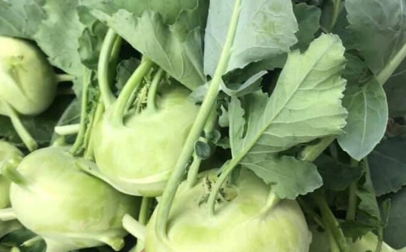 People with thyroid disease should note 3 things when eating kohlrabi. Photo: Kieu Vu