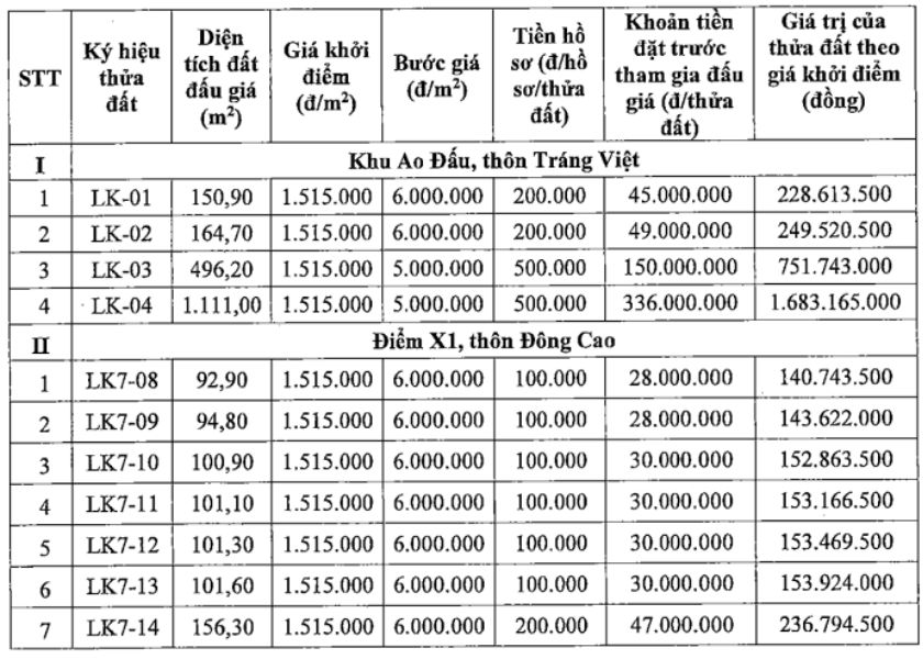 11 thửa đất đấu giá huyện Mê Linh (Hà Nội). Ảnh chụp màn hình