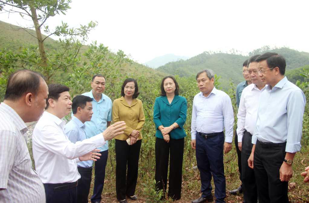 Mr. Vu Dai Thang, member of the Party Central Committee, Secretary of the Quang Ninh Provincial Party Committee, listened to the leaders of Ba Che district report on the damage caused by storm No. 3 to the forest area in the district. Photo: Manh Truong