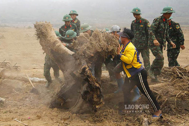 Cac chien si thuoc Trung doan 82 (Su doan 355, Quan khu 2), thu don, cui, rac thai giup nguoi dan som on dinh cuoc song va khoi phuc san xuat.