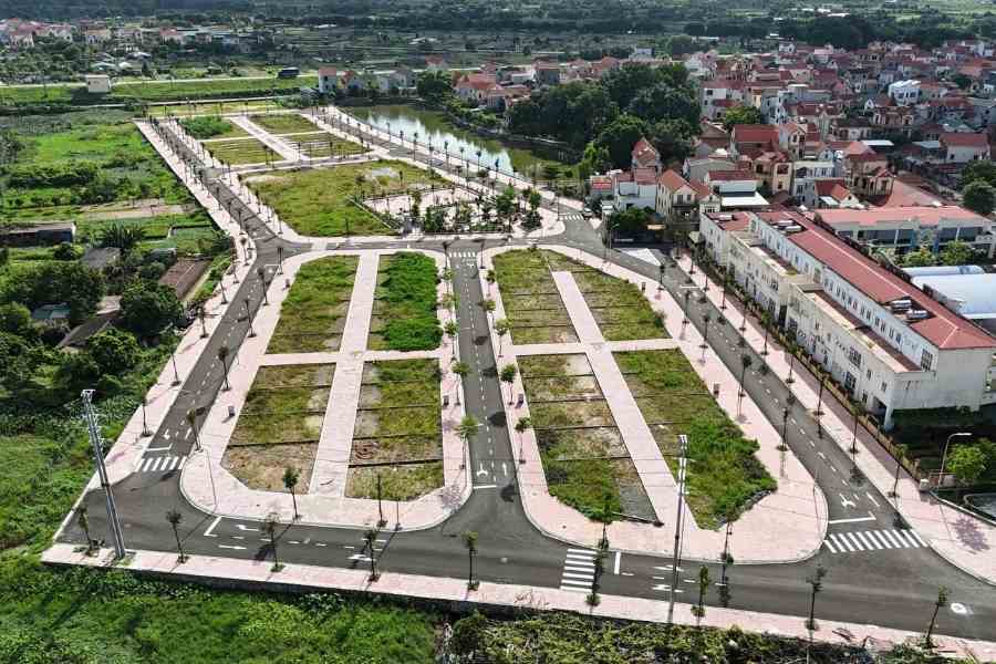 Land lots in the auction on November 11. Photo: Nhu Ha