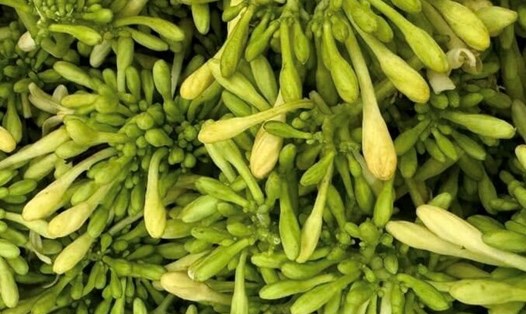 Hoa đu đủ đực được cho là có thể hỗ trợ giảm mỡ bụng, giảm cân hiệu quả. Ảnh: Kiều Vũ