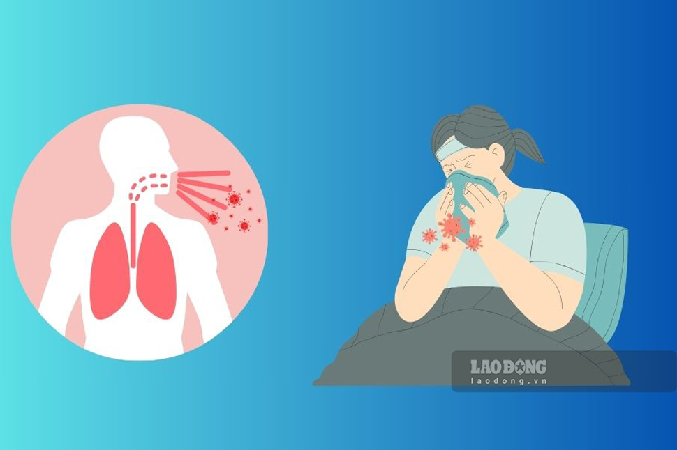 'Binh Dinh recorded 9 positive cases of Influenza A/H1pdm, of which 4 cases died. Graphics: Phuong Thao'