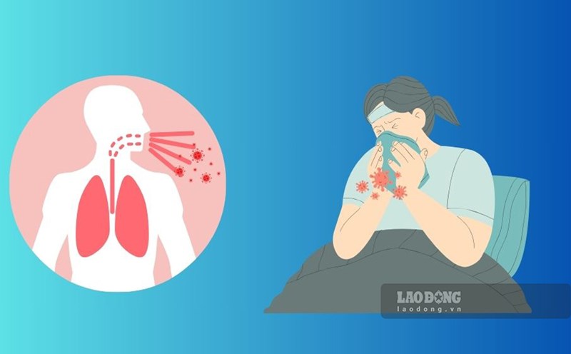 'Binh Dinh recorded 9 positive cases of Influenza A/H1pdm, of which 4 cases died. Graphics: Phuong Thao'