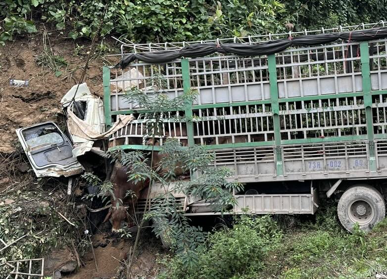A cow-carrying truck plunged into a ravine, killing one person. Photo: P. Hoang