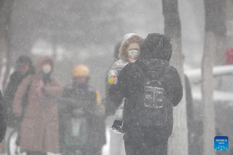 Snow falls in Heilongjiang, China during a strong cold front on November 25, 2024. Photo: Xinhua