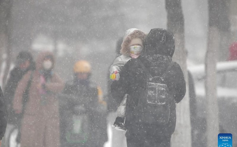 Snow falls in Heilongjiang, China during a strong cold front on November 25, 2024. Photo: Xinhua