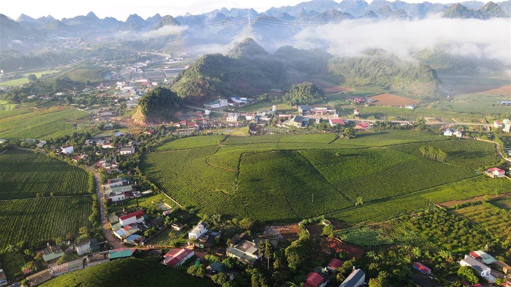 Moc Chau town will establish 8 new wards and 7 communes. Photo: Sonla.gov.vn