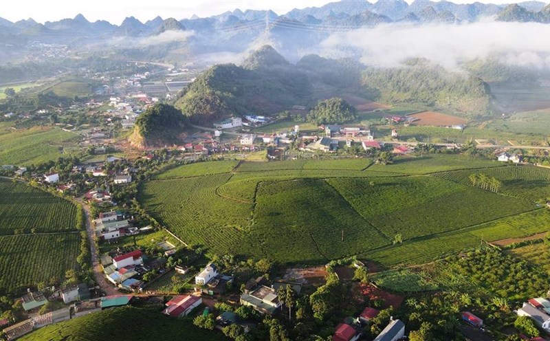 Moc Chau town will establish 8 new wards and 7 communes. Photo: Sonla.gov.vn