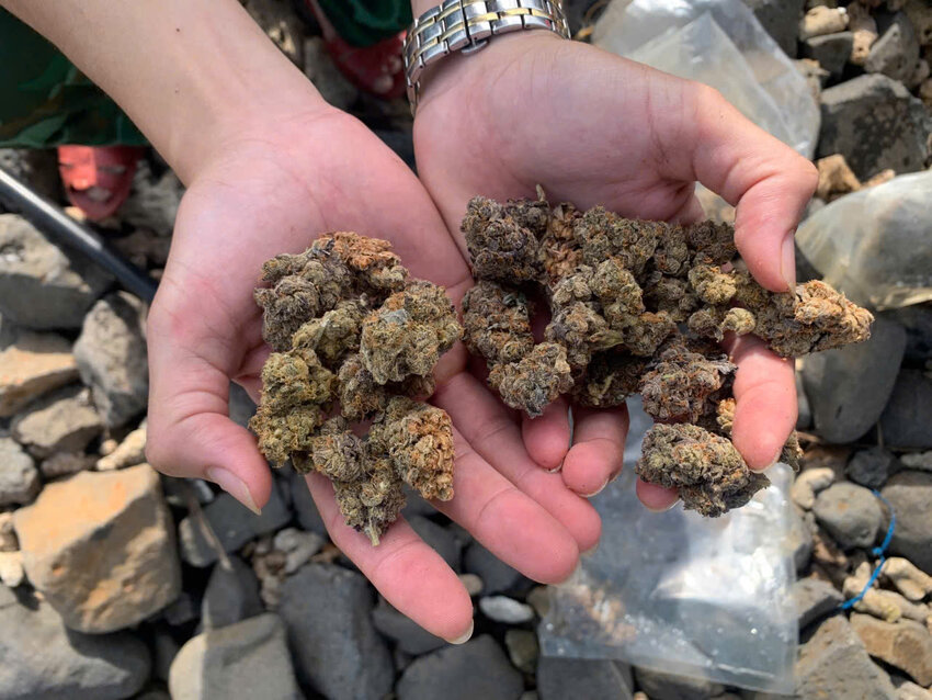 Đồ vật nghi ma túy cần sa trôi dạt vào bờ biển Quảng Ngãi. Ảnh: Đức Minh