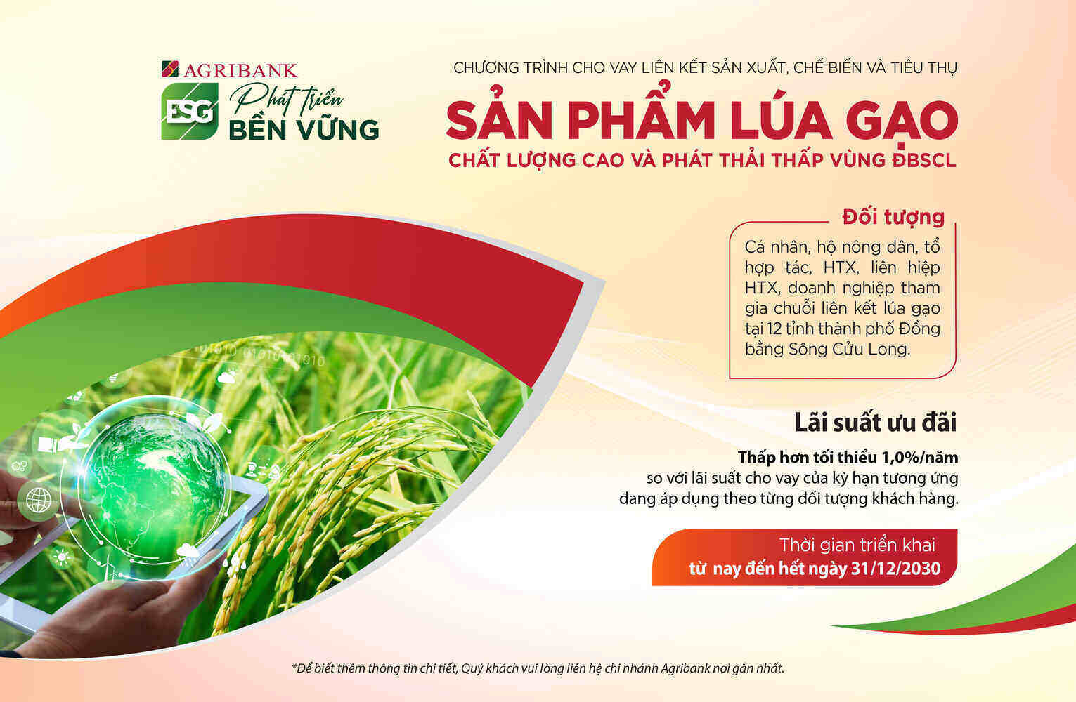 Agribank trien khai cho vay lien ket san xuat, che bien va tieu thu san pham lua gao chat luong cao va phat thai thap vung DBSCL. Anh: Agribank