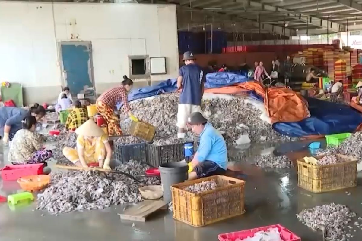 Một khu vực phân loại chế biến hải sản trong cảng cá Cát Lở - nơi có doanh nghiệp bị xử phạt vì vi phạm xả thải (hình minh họa). Ảnh: Thành Khoa
