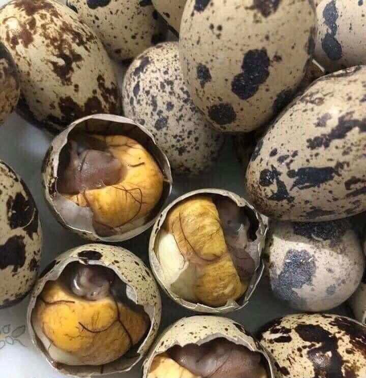 Balut eggs are nutritious but not good for everyone. Photo: Kieu Vu