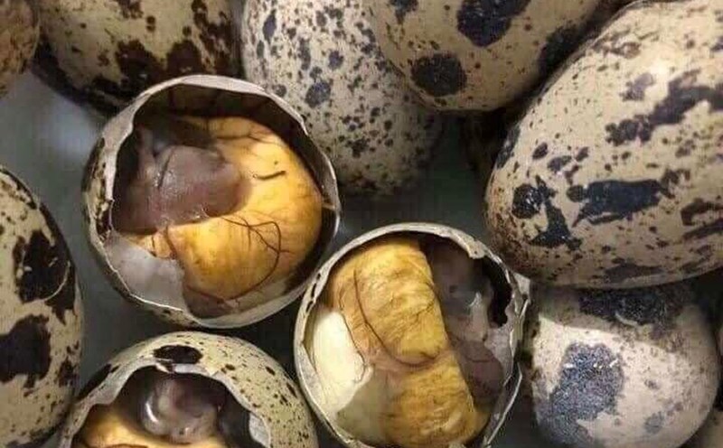 Balut eggs are nutritious but not good for everyone. Photo: Kieu Vu